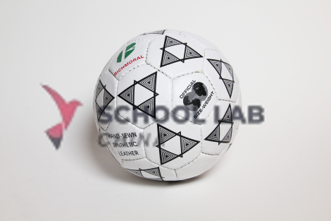 Handball,senior